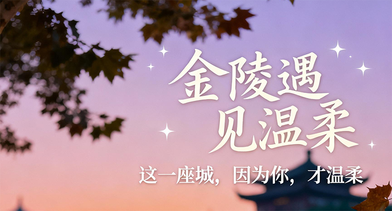 【定制】金陵遇见温柔